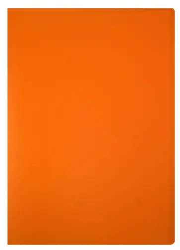 Папка 20 файлов, А4, пластиковая, оранжевая (CY1422-O) обложка книги