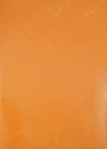 Папка 40 файлов. А4. Пластиковая. Оранжевая (CY1424-O) обложка книги