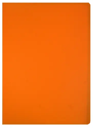 Папка 60 файлов, А4, пластиковая, оранжевая (CY1426-O) обложка книги