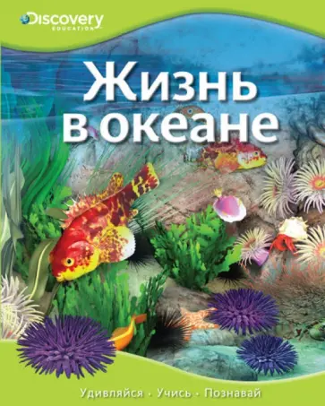 Жизнь в океане обложка книги