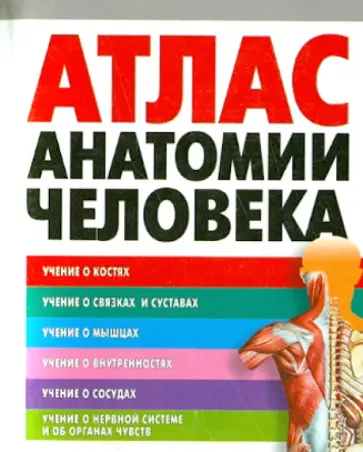 Владимир Воробьев - Атлас анатомии человека обложка книги