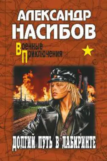 Александр Насибов - Долгий путь в лабиринте Александр Насибов - Долгий путь в лабиринте обложка книги