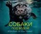 Кастил Сет