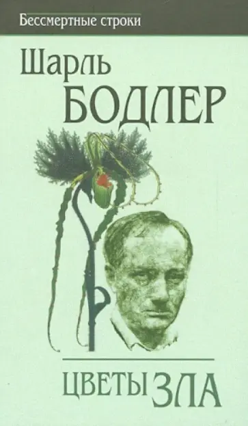 Шарль Бодлер - Цветы зла Шарль Бодлер - Цветы зла обложка книги
