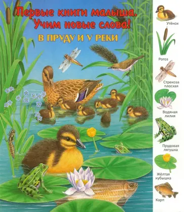 В пруду и у реки В пруду и у реки обложка книги