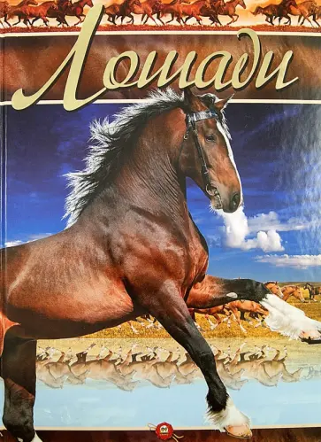 Цеханская, Стрелков - Лошади обложка книги