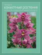 Петина Ольга Юрьевна