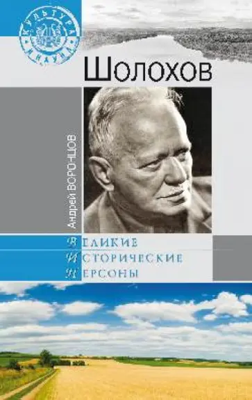 Андрей Воронцов - Шолохов обложка книги
