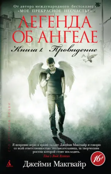 Джейми Макгвайр - Легенда об ангеле. Книга 1. Провидение Джейми Макгвайр - Легенда об ангеле. Книга 1. Провидение обложка книги