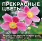 Фомина Юлия
