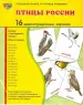Миниатюра 1