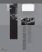 Барнуэл Джейн