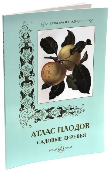 С. Иванов - Атлас плодов. Садовые деревья С. Иванов - Атлас плодов. Садовые деревья обложка книги