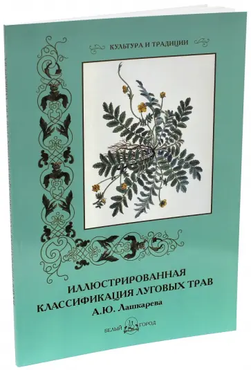 С. Иванов - Иллюстрированная классификация луговых трав А. Ю. Лашкарева С. Иванов - Иллюстрированная классификация луговых трав А. Ю. Лашкарева обложка книги