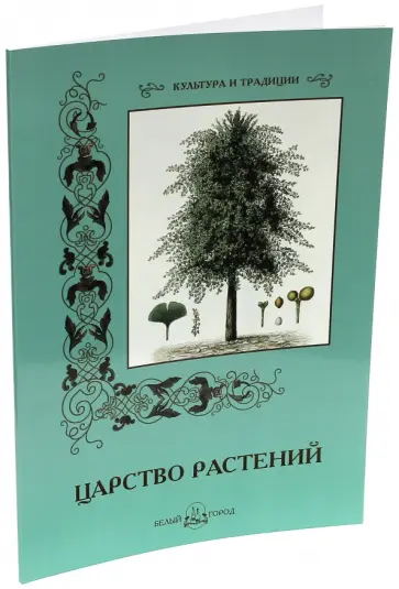 С. Иванов - Царство растений обложка книги