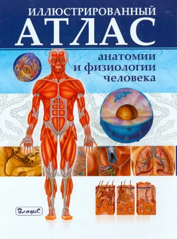 Иллюстрированный атлас анатомии и физиологии человека обложка книги