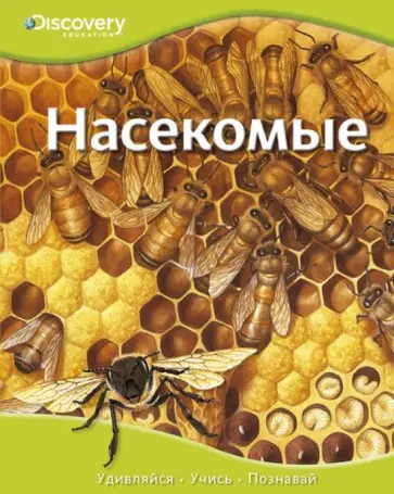 Насекомые Насекомые обложка книги