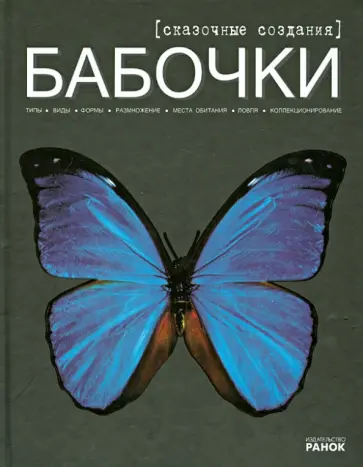 Екатерина Шейкина - Бабочки - сказочные создания обложка книги