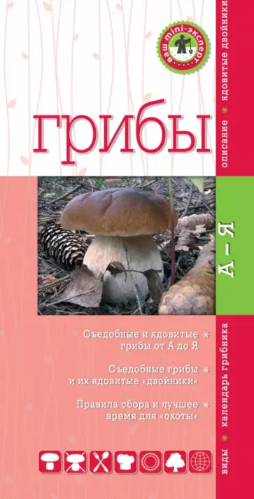 Михаил Вишневский - Грибы. Мини-эксперт обложка книги