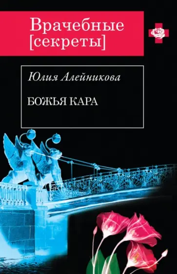 Юлия Алейникова - Божья кара обложка книги