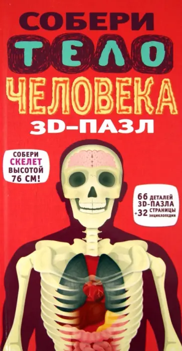 Ричард Уолкер - 3D-пазл "Собери тело человека" (66 элементов) Ричард Уолкер - 3D-пазл "Собери тело человека" (66 элементов) обложка книги