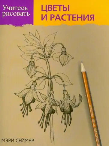 Мэри Сеймур - Учитесь рисовать цветы и растения обложка книги