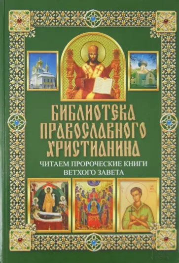 Михалицын, Нестеренко - Читаем Пророческие книги Ветхого Завета обложка книги