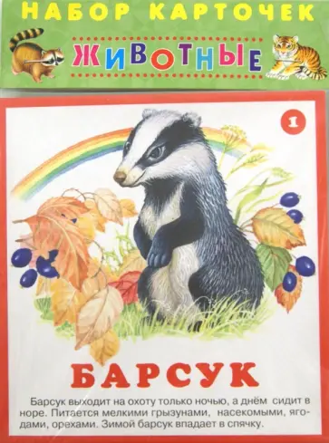 Набор карточек Животные Набор карточек Животные обложка книги