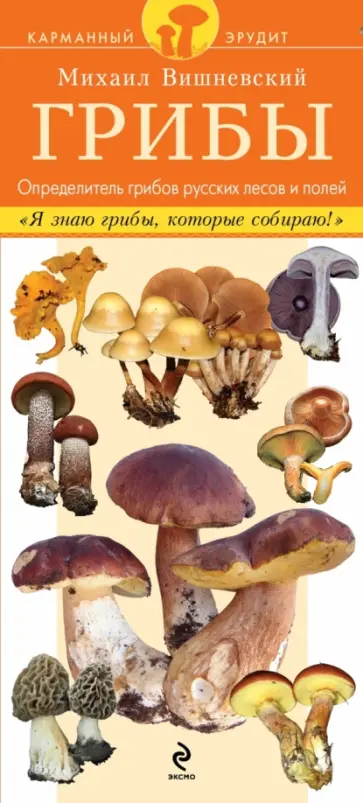 Михаил Вишневский - Грибы. Определитель грибов русских лесов и полей обложка книги