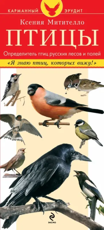 Ксения Митителло - Птицы. Определитель птиц русских лесов и полей обложка книги