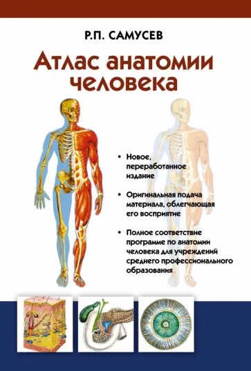 Рудольф Самусев - Атлас анатомии человека. Учебное пособие для студентов учреждений СПО Рудольф Самусев - Атлас анатомии человека. Учебное пособие для студентов учреждений СПО обложка книги