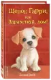 Миниатюра 2