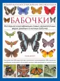 Возбуждающие капли Полет Бабочки 30 мл купить в Минске | Секс-шоп 