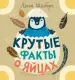 Миниатюра 1