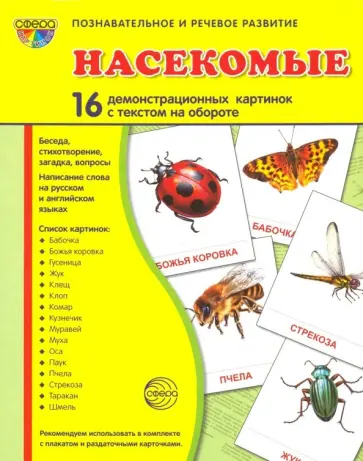 Цветкова, Шорыгина - Демонстрационные картинки "Насекомые" (16 картинок) Цветкова, Шорыгина - Демонстрационные картинки "Насекомые" (16 картинок) обложка книги