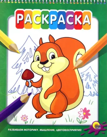 Раскраска на гребне. Белка обложка книги