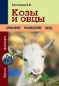 Кормление коз и овец на молоко. Сколько и какие корма давать