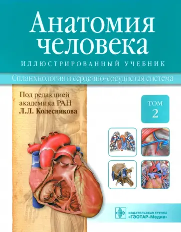 Колесников, Ничипорук - Анатомия человека. Учебник. В 3-х томах. Том 2. Спланхнология и сердечно-сосудистая система Колесников, Ничипорук - Анатомия человека. Учебник. В 3-х томах. Том 2. Спланхнология и сердечно-сосудистая система обложка книги