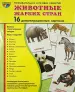 Миниатюра 1