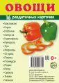 Познавательное и речевое развитие