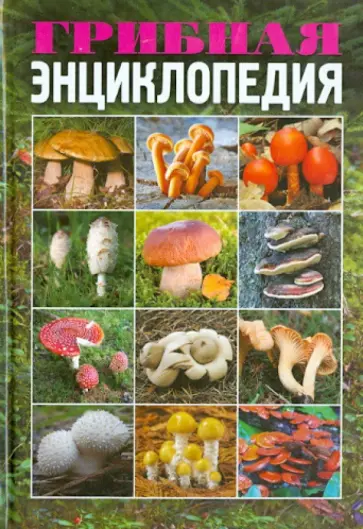 Татьяна Лагутина - Грибная энциклопедия обложка книги