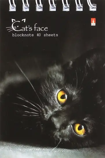 Блокнот А7 "Кошачий взгляд", в ассортименте обложка книги