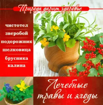 Лечебные травы и ягоды обложка книги