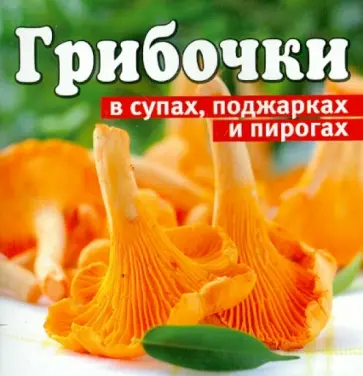 Грибочки в супах, поджарках, пирогах обложка книги