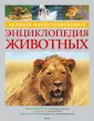 Керфолли Фульвио