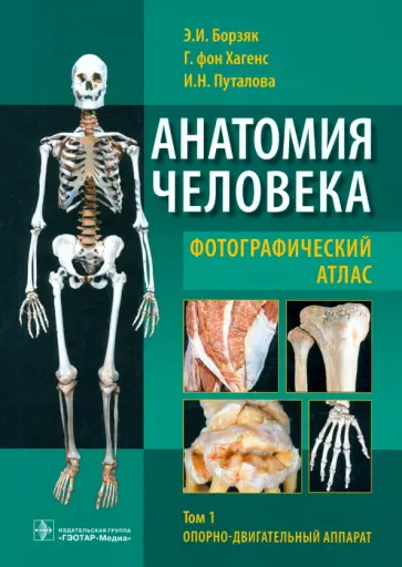 Борзяк, Гунтер - Анатомия человека. Фотографический атлас. Учебное пособие. В 3-х томах. Том 1 обложка книги