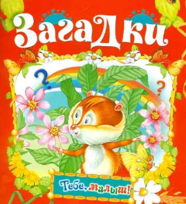 Загадки обложка книги