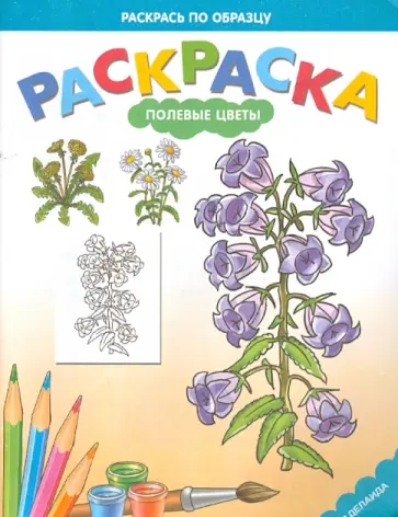 Раскраска "Полевые цветы" обложка книги