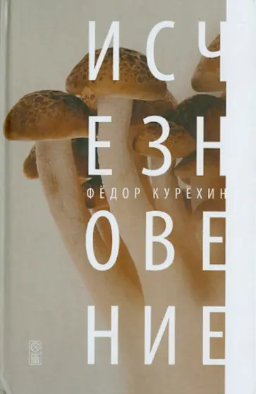 Федор Курехин - Исчезновение обложка книги