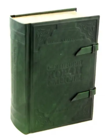 Шамиль Аляутдинов - Перевод смыслов Священного Корана обложка книги